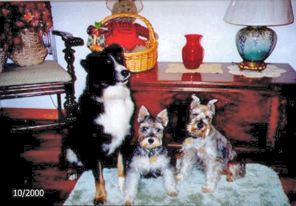 The Big Three