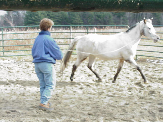 Photo #02