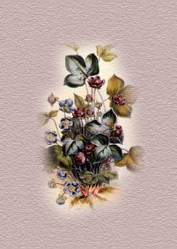 floralbkgpgpic.jpg (25453 bytes)