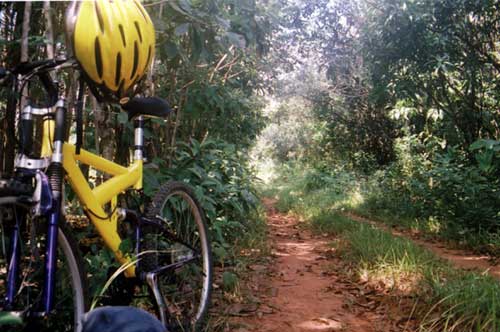 Ensayo sobre ciclismo deportivo