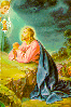 sm1t.gif (7867 bytes)