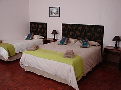 Rhino Room