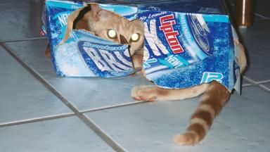 Otay well dis box is useless!