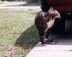 NO! I don't want me picture taken!