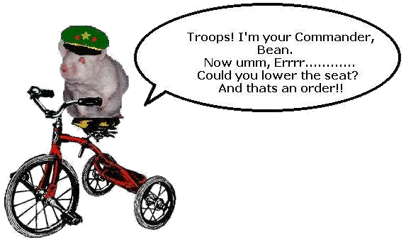 Bean holds brave and string in CAD forces