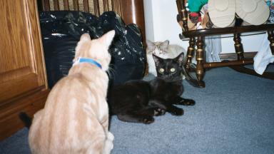 OOH Emmy youz betta git away fum me!