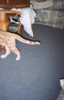 Butt shot!