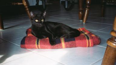 Dis looks lik a cozy spot.