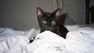 Iz ready for ma nap now!
