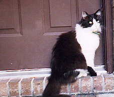 LET ME IN!!