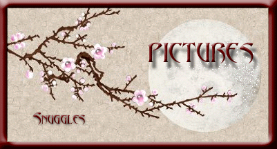 Snuggles Pictures