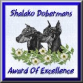 Shalako Dobermans! Visit them!!