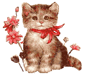 Meow City First Aid!
