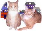 Your Hosts! Siam & Baby Bird