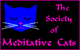 The Meditative cat!