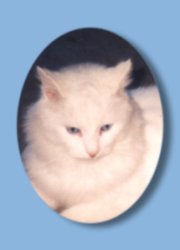 Frankie