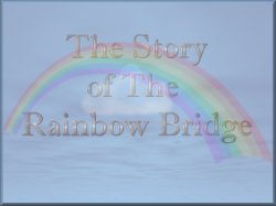 The Rainbow Bridge