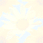 Fondo 5.gif (5247 bytes)