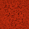 Fondo H.gif (4599 bytes)
