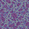 Fondo P.gif (4905 bytes)