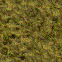 Fondo Q.gif (7681 bytes)