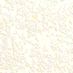 Fondo S.gif (8403 bytes)