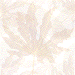 Fondo W.gif (8230 bytes)