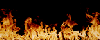 Fuegos.gif (28560 bytes)