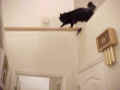 This is MY little short cut! (20064 Byte)