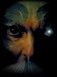 Click the wizard to email the webmaster