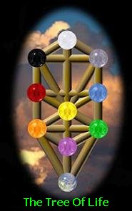 The Tree of Life