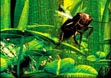 Empire of the Ants