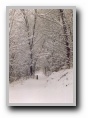 [Click to enlarge]