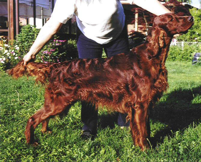 Withersdale World Wide Web