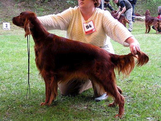 Pika at Polish Club Show, May 2004