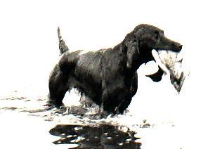 Int, Yu Ch Wendover Tussle