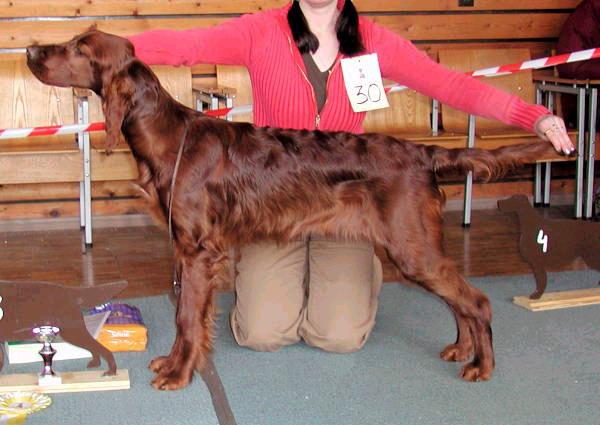 Tessa at 6 months old