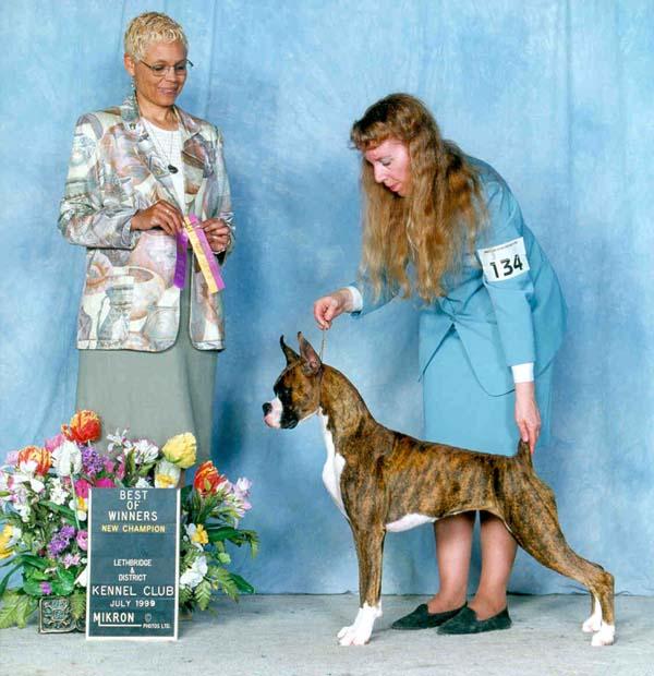 Julie1.jpg (56944 bytes)