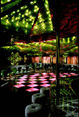 Oz Dance Club