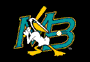 Myrtle Beach Pelicans