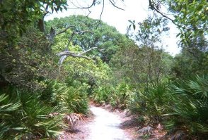 Hiking trail