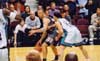 Mike Bibby image