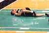 Mike Bibby image