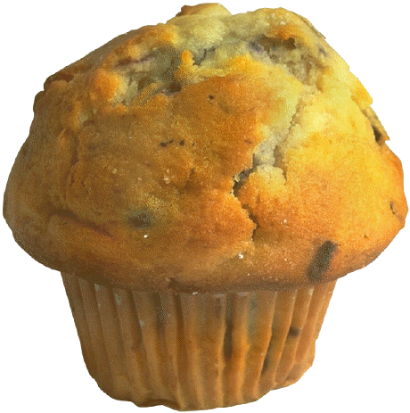 blueberry muffin