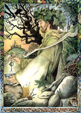 picture of Druid