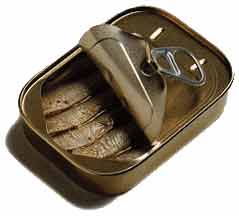 sardines