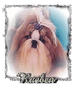Rueben's page