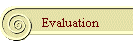 Evaluation