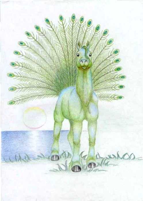 peacock horse, artist unknown 