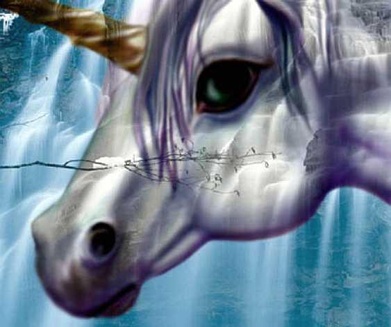 close up, artist unknown 